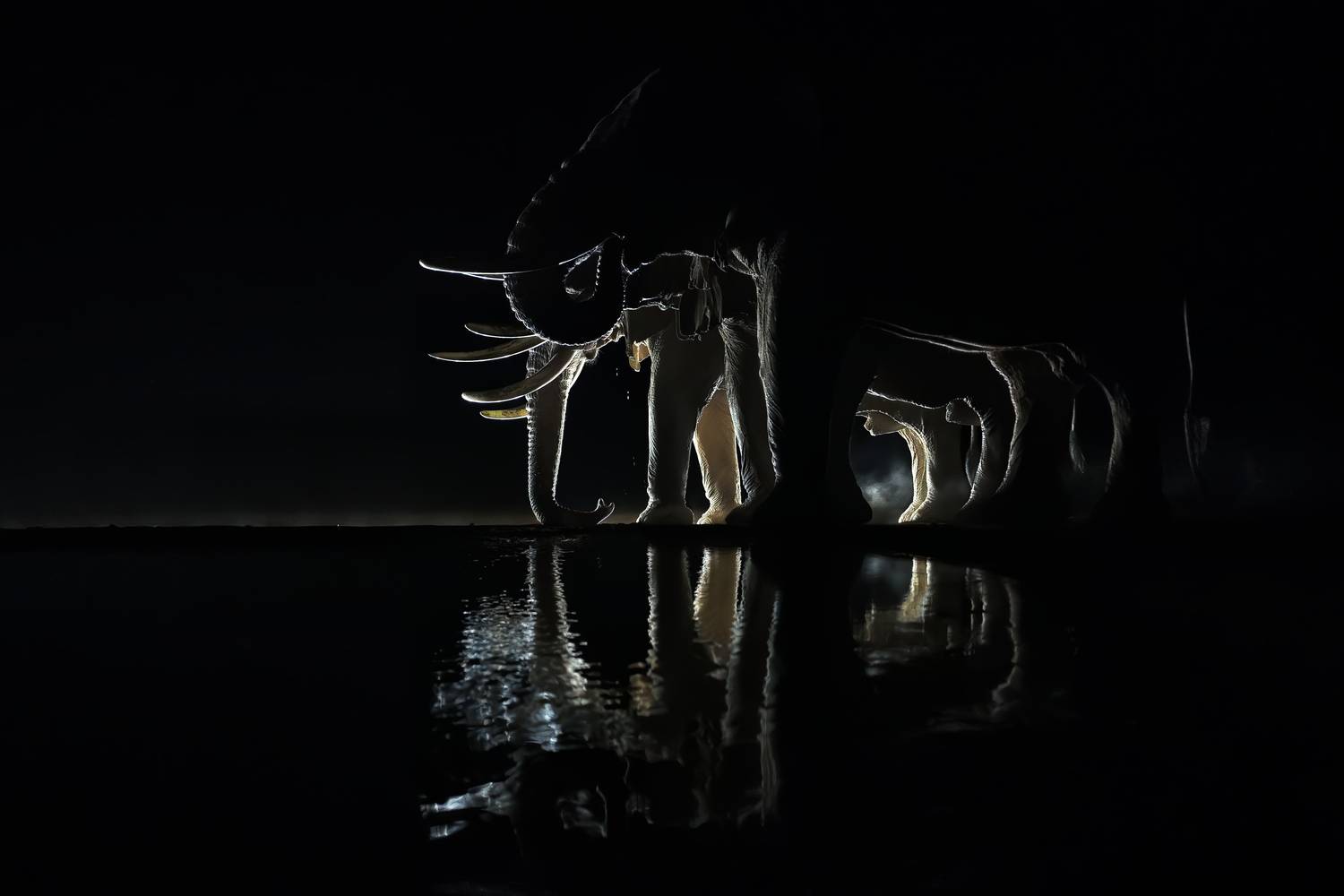 Ночное построение