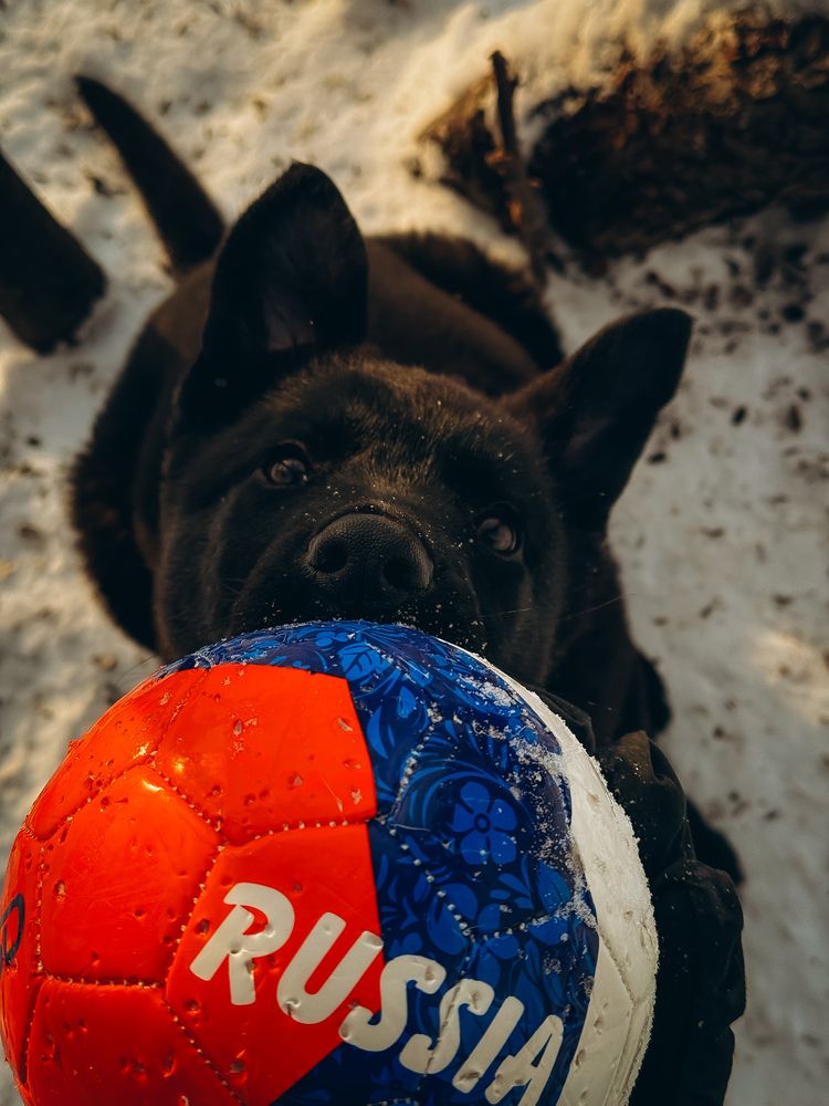 Photograph by Алёна Горошко