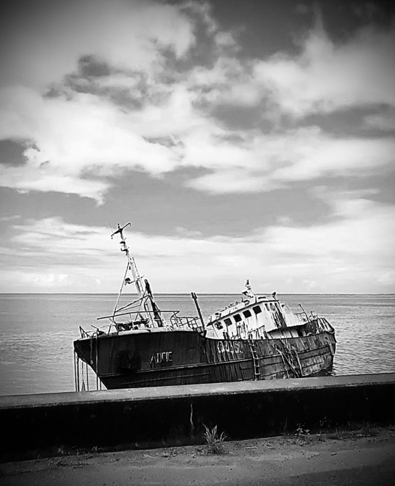 Photograph by Anna Krivorucko