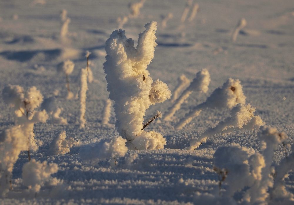 Photograph by Александр Попов