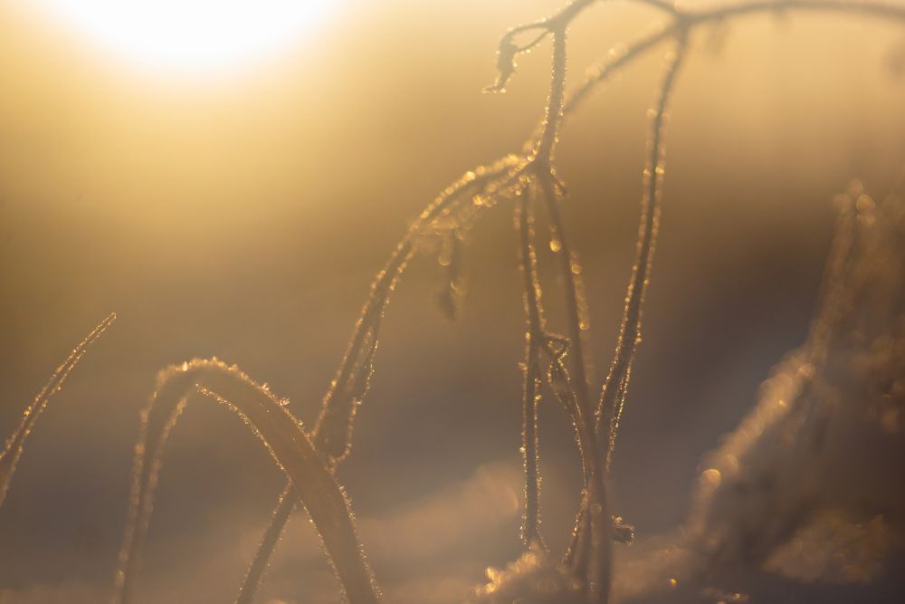 Photograph by Екатерина Яковлевская