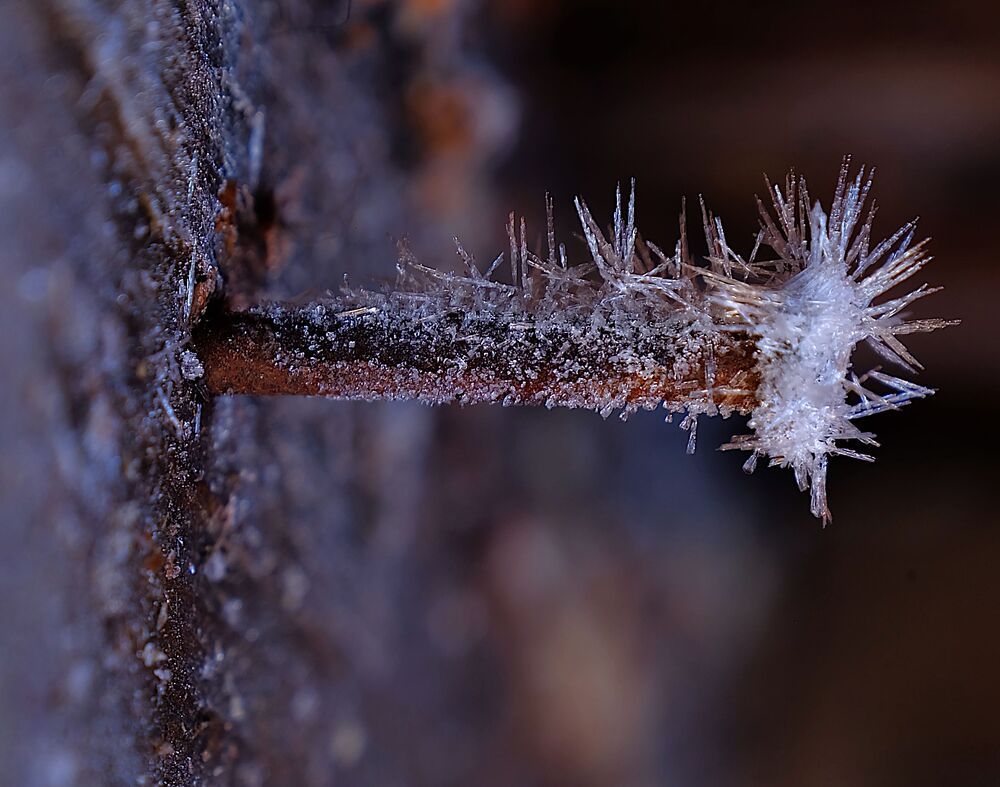 Photograph by sasha yudin