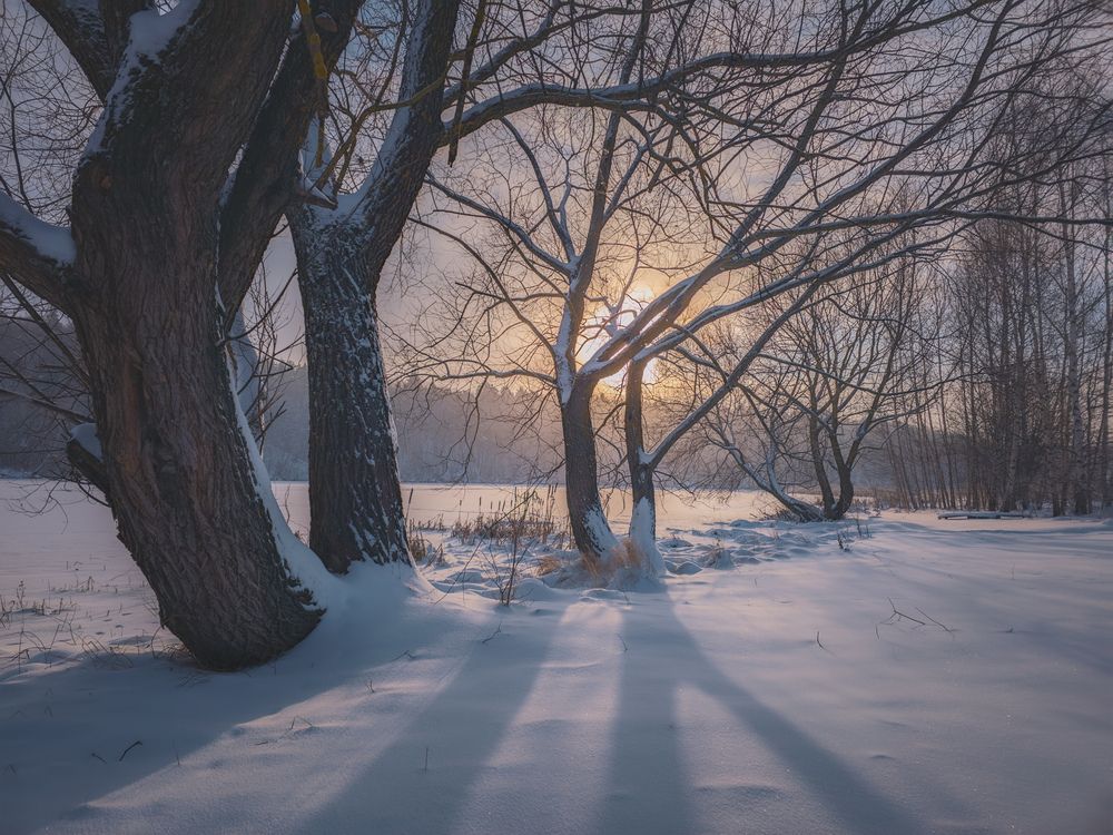 Photograph by Кирилл Сидоров