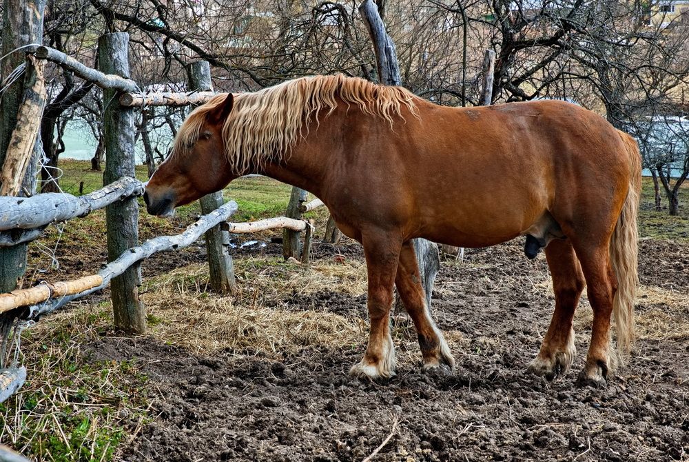Photograph by Сергей Тимофеев