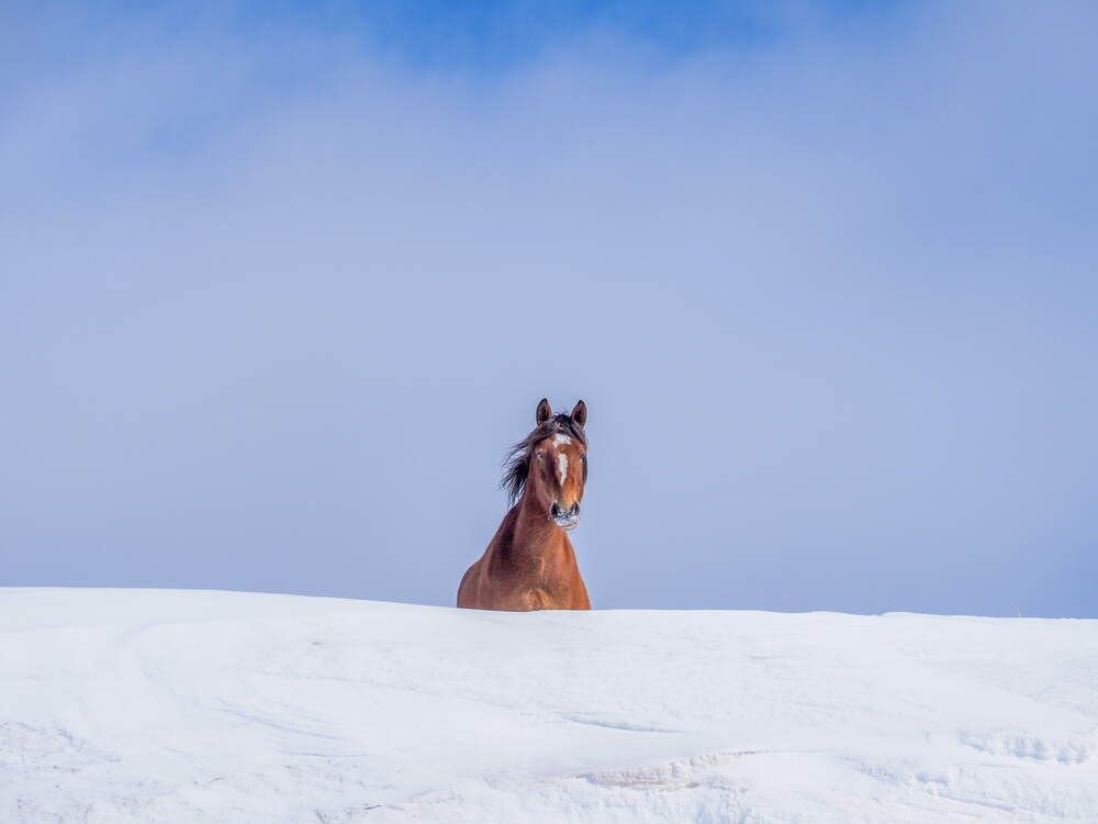 Фотография автора Вячеслав ИВАНОВ