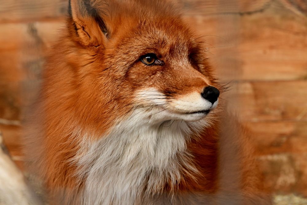 Photograph by Алексей Volg