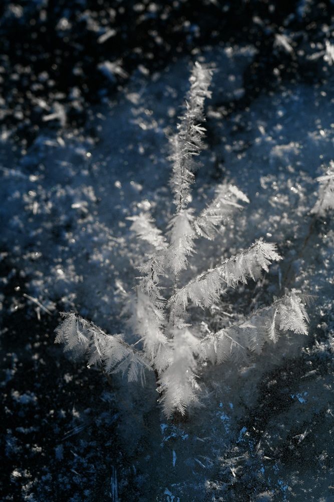 Photograph by Егор Жук