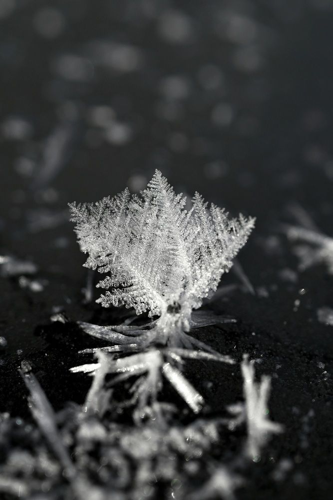 Photograph by Егор Жук