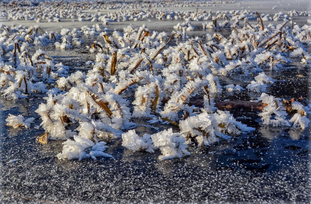 Ледяная сказка.