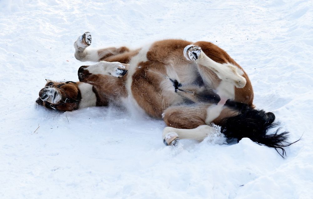 Фотография автора Алексей Volg
