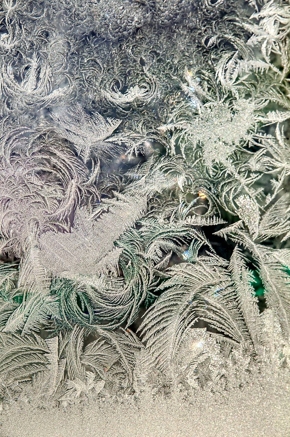 Фотография #13024975