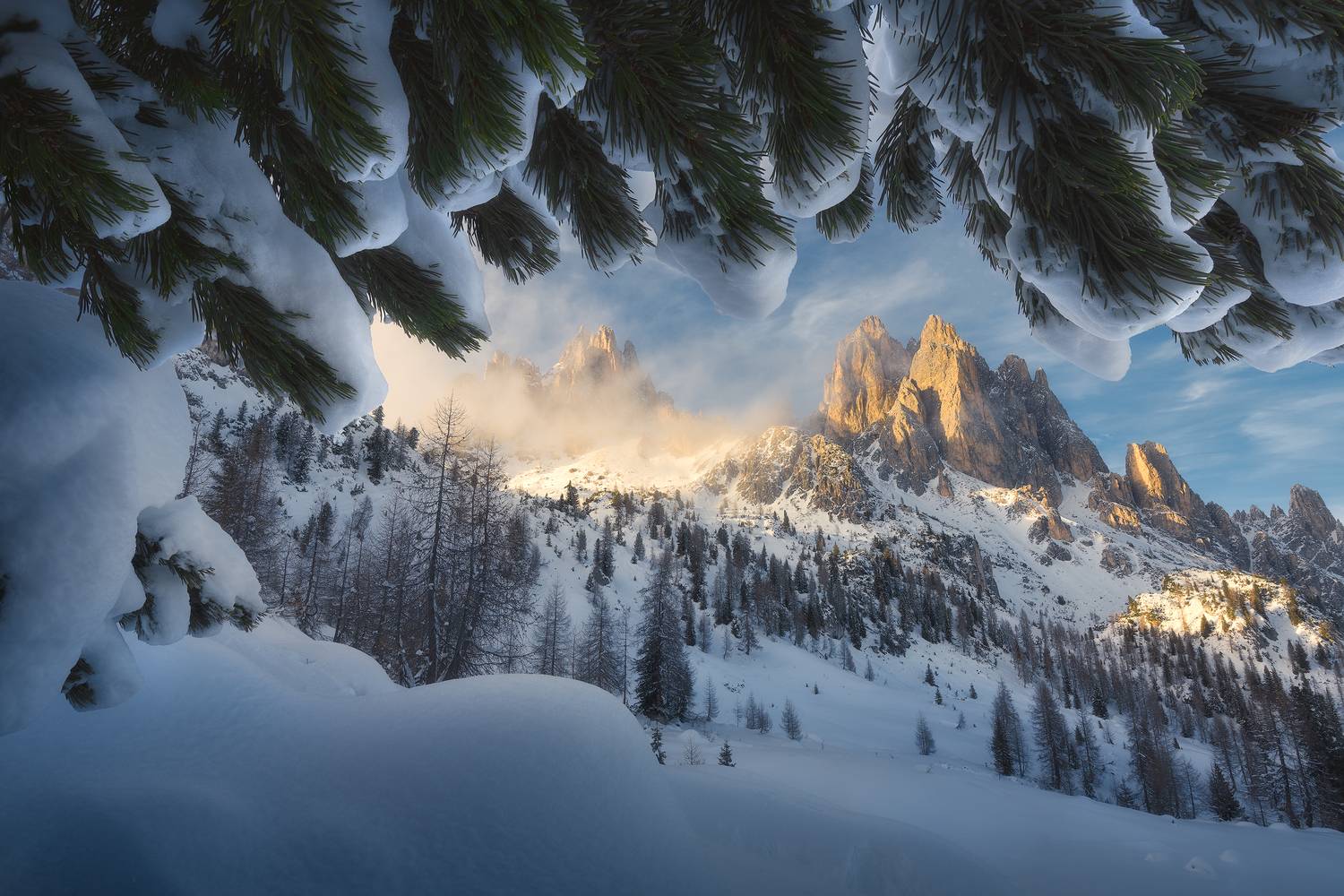 Фотография #13024988