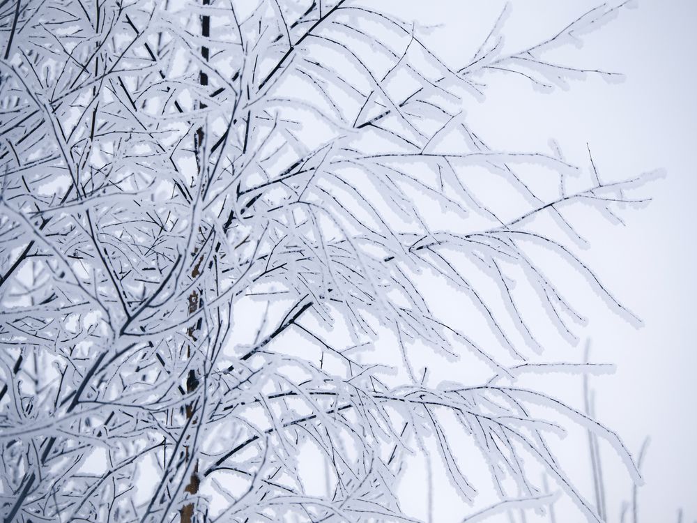 Фотография автора Баронов Фёдор