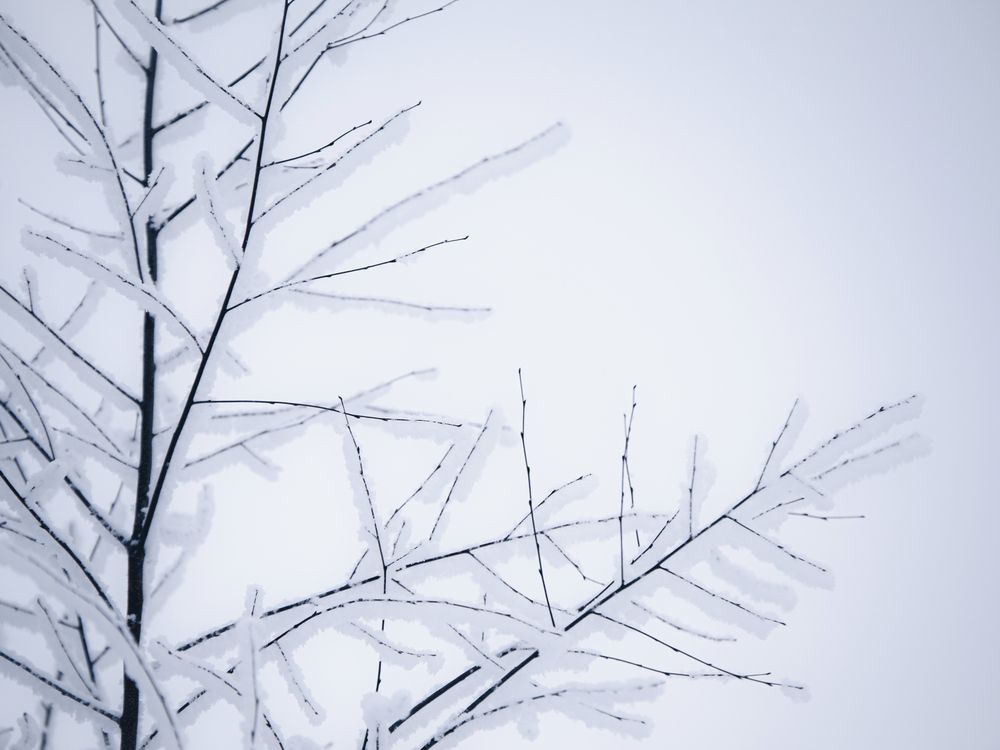 Фотография автора Баронов Фёдор