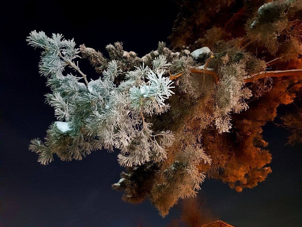 Photograph by Елена Муковникова