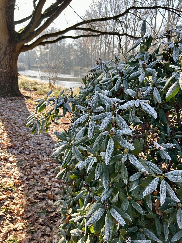 Photograph by Александр Чернега