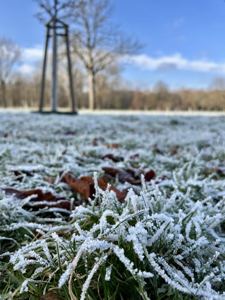 Photograph by Александр Чернега