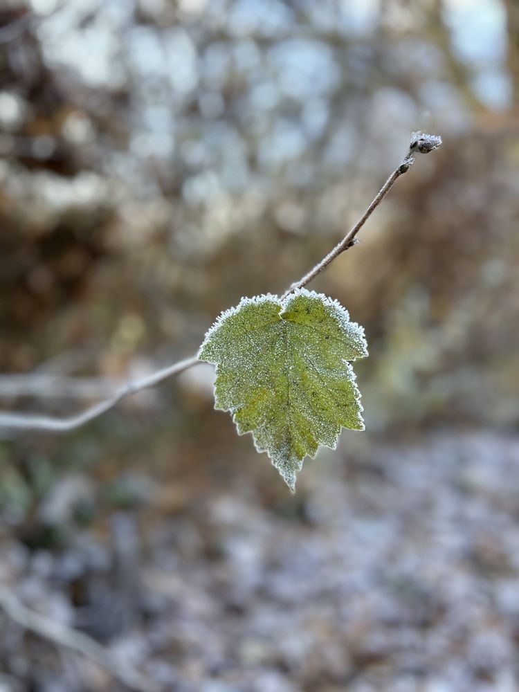 Photograph by Александр Чернега