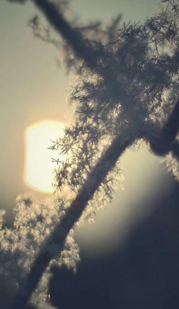 Photograph by Сергей Зайцев