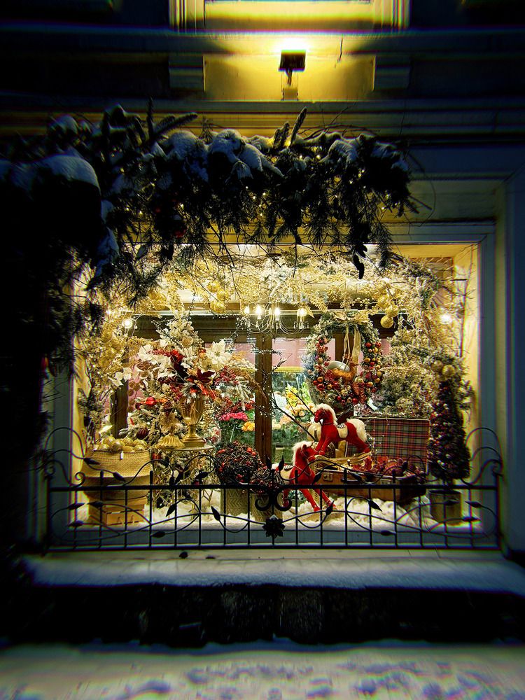 Фотография автора АННА ЕРМАК