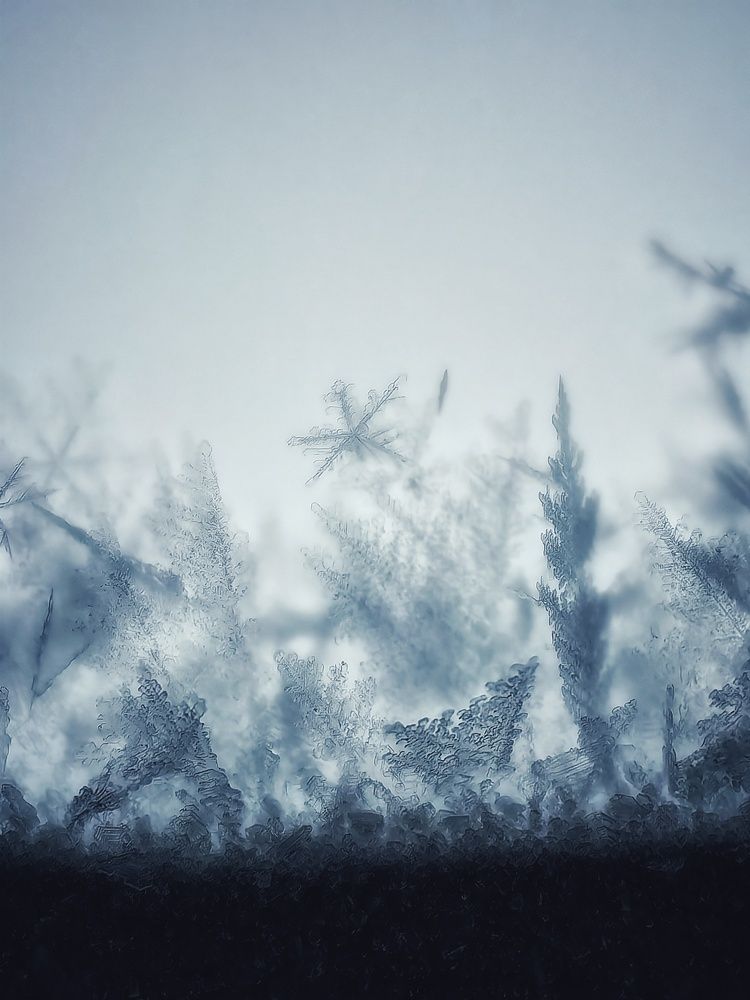 Photograph by Сергей Зайцев