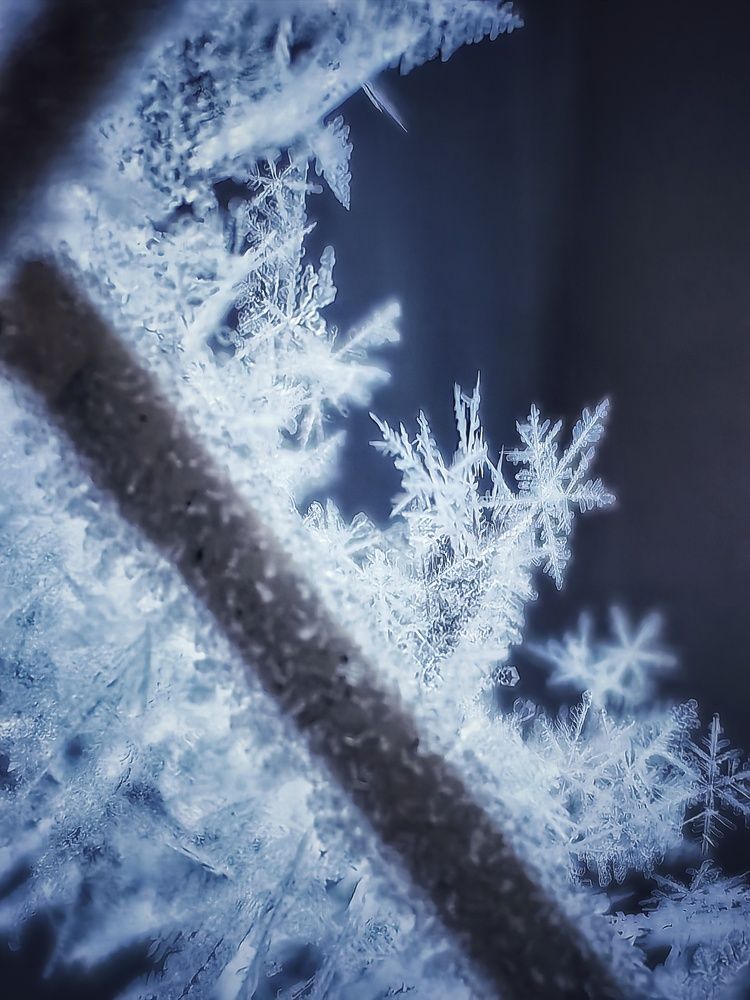 Photograph by Сергей Зайцев