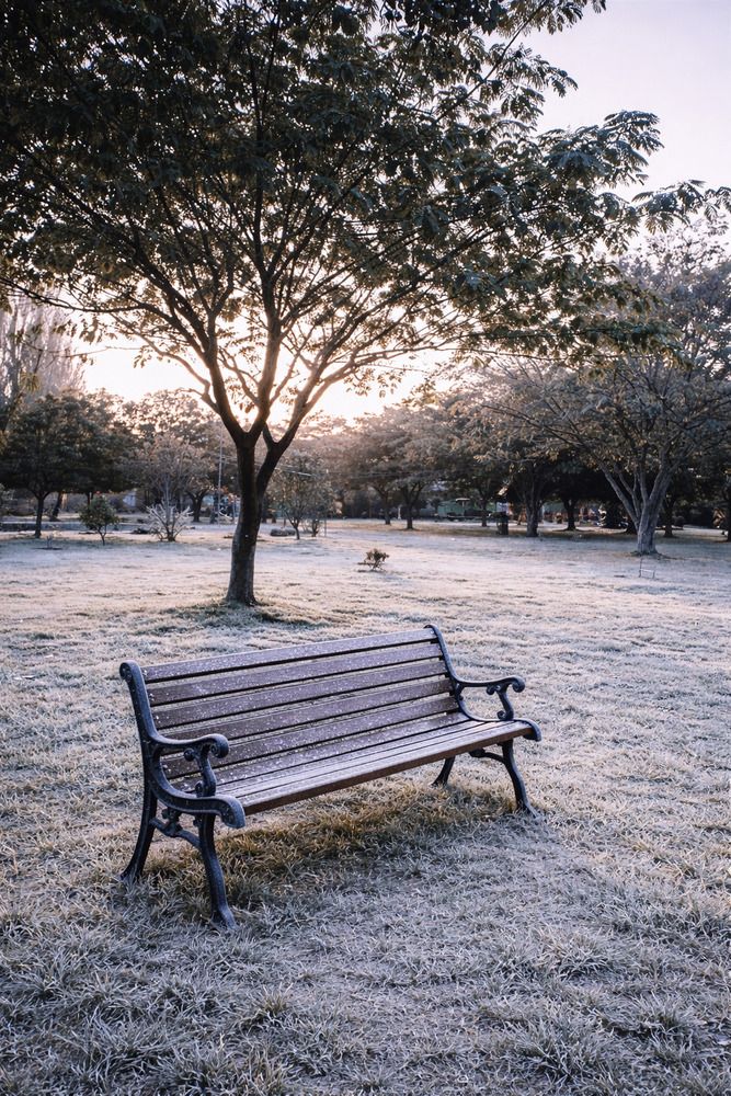 Photograph by Saliha Jan