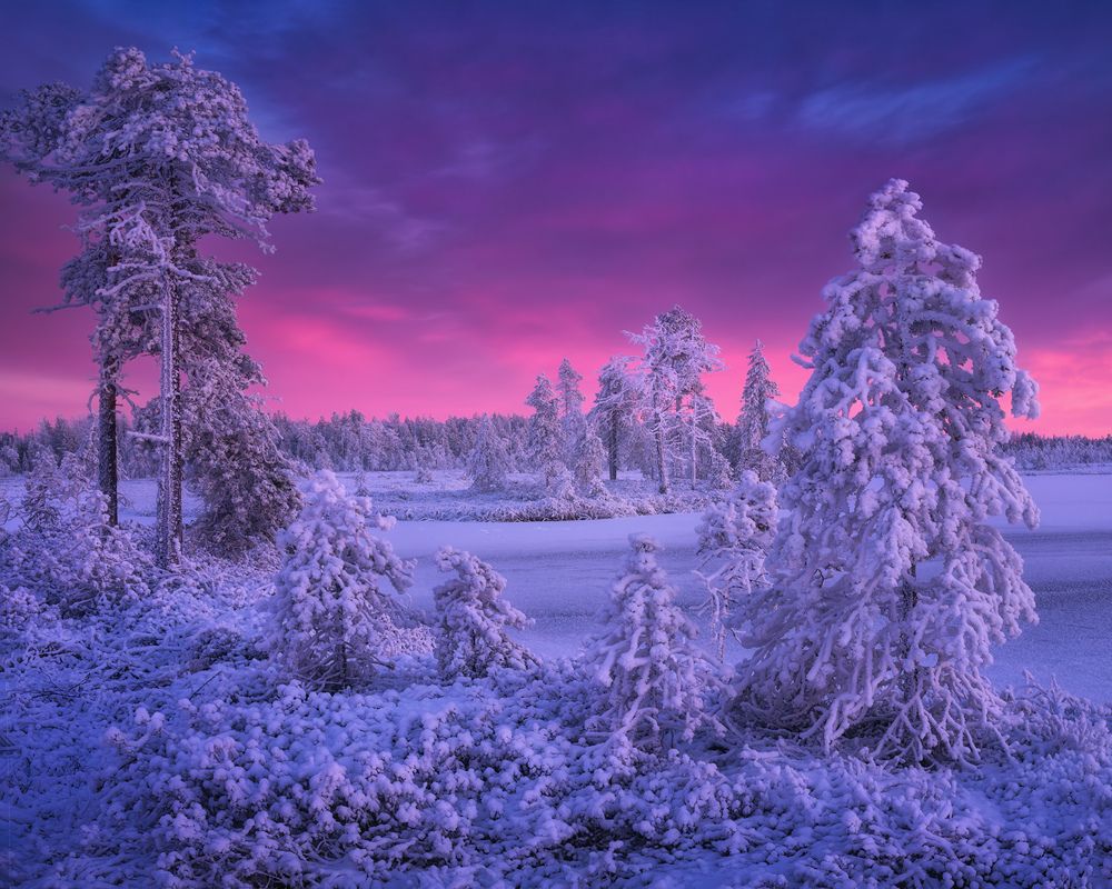 Photograph by Dmitry Medyancev