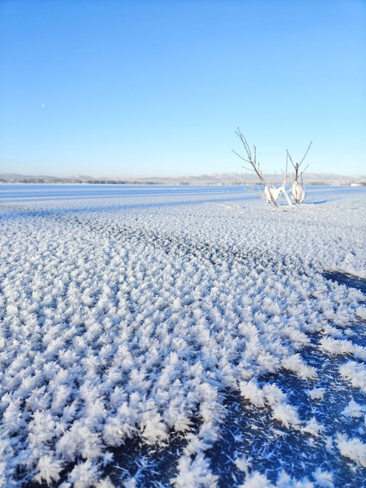 Photograph by Виталий Черепенькин