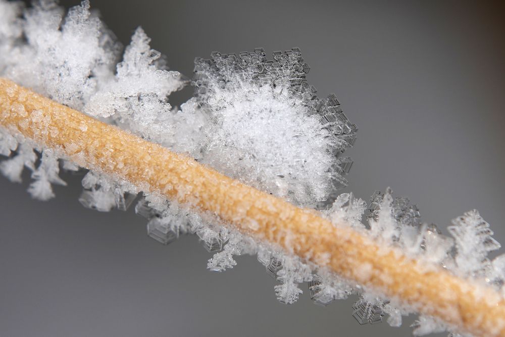 Photograph by Алексей Курносов