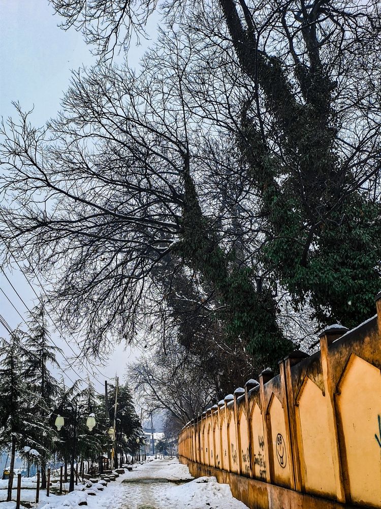 Photograph by Saliha Jan
