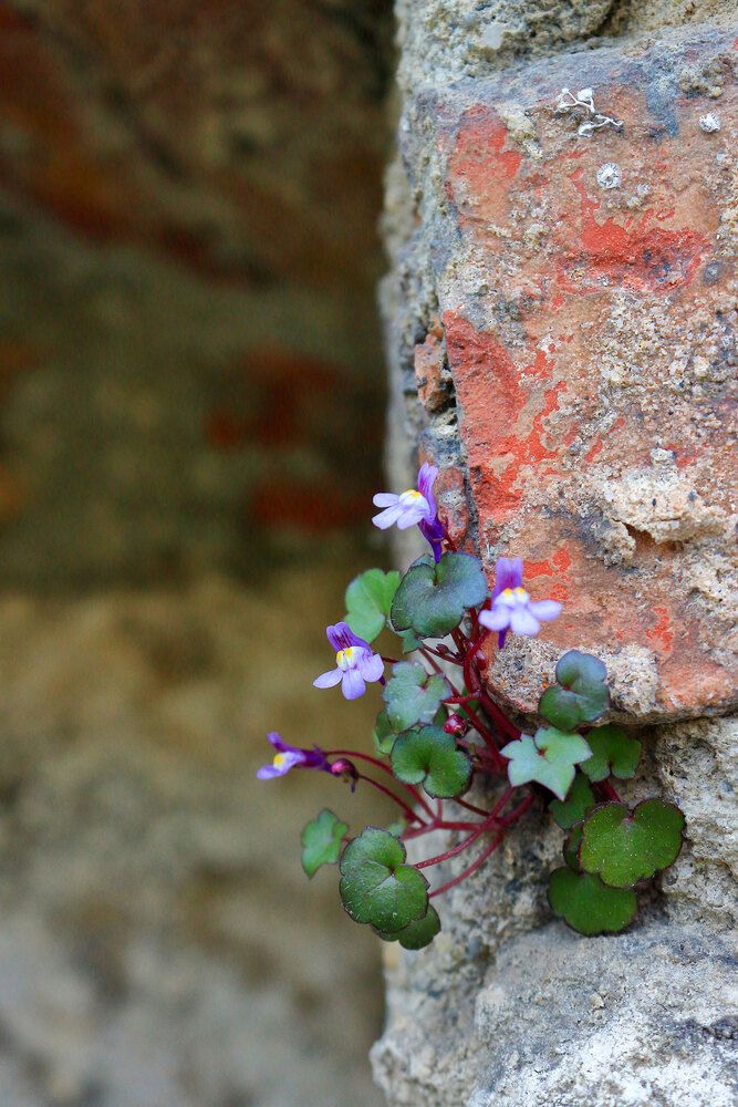Фотография автора Светлана Долотова