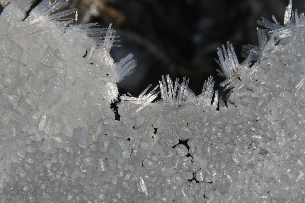 Photograph by Алексей Курносов