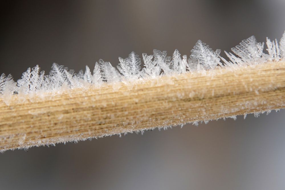 Photograph by Алексей Курносов