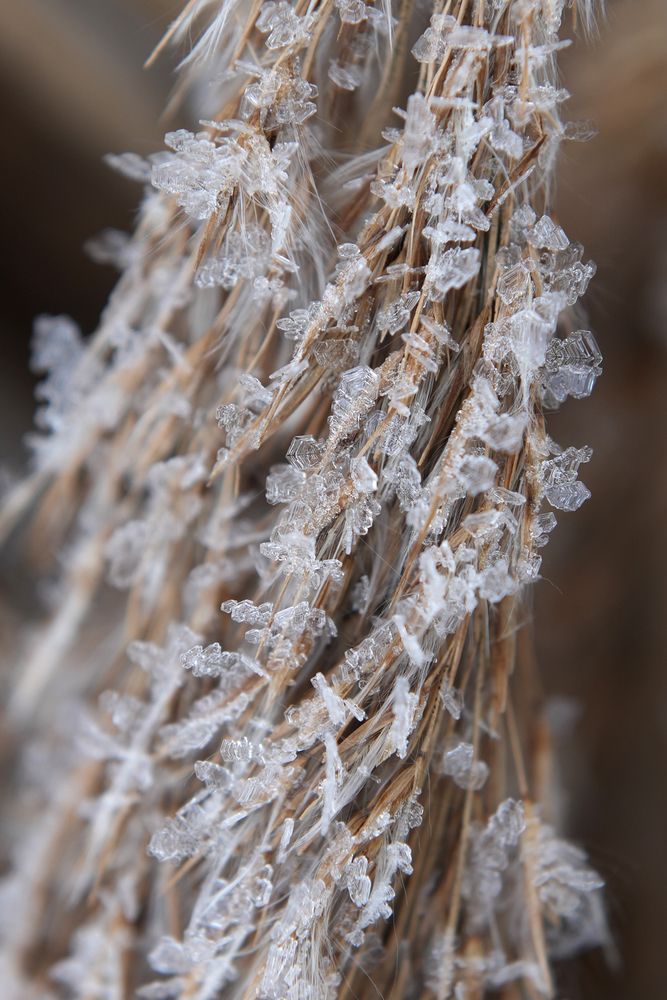 Photograph by Алексей Курносов