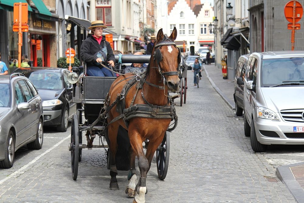 Фотография автора Юрий Еремин
