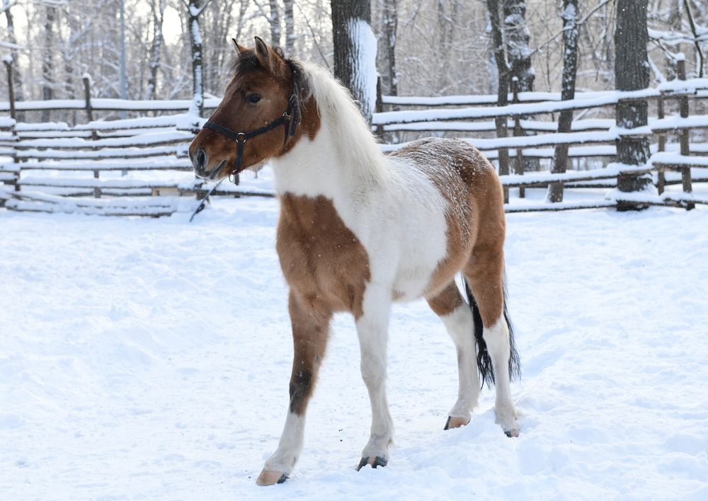 Фотография автора Алексей Volg