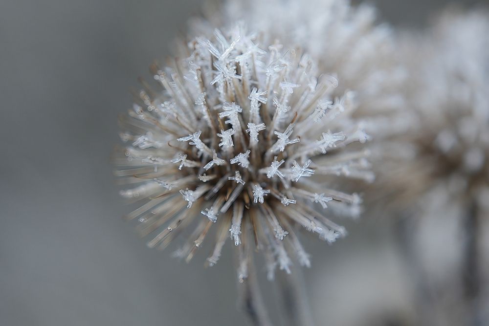 Photograph by Алексей Курносов