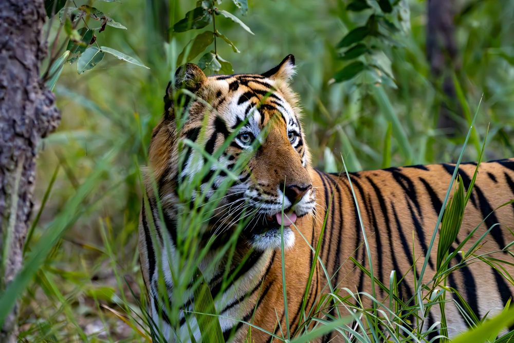 Photograph by aayush shah