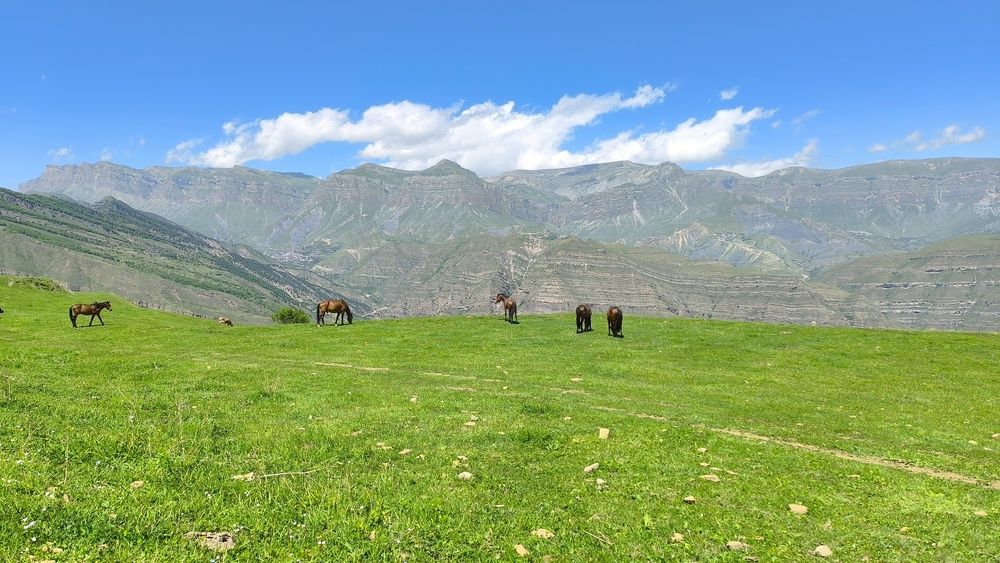 Фотография автора Курбан Курбаналиев