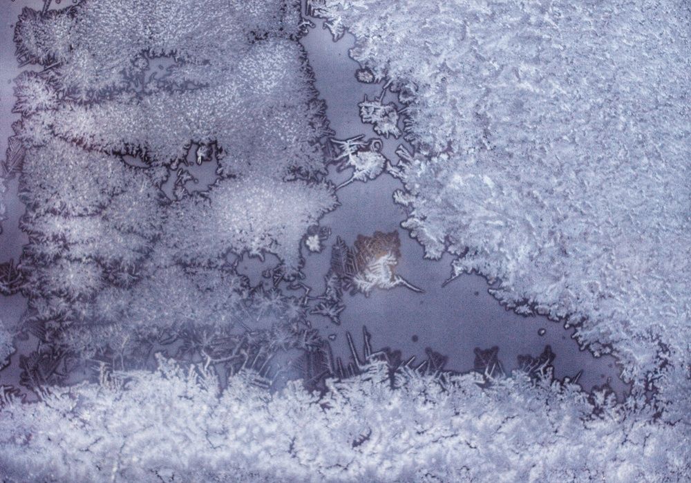 Фотография автора Светлана Терехова