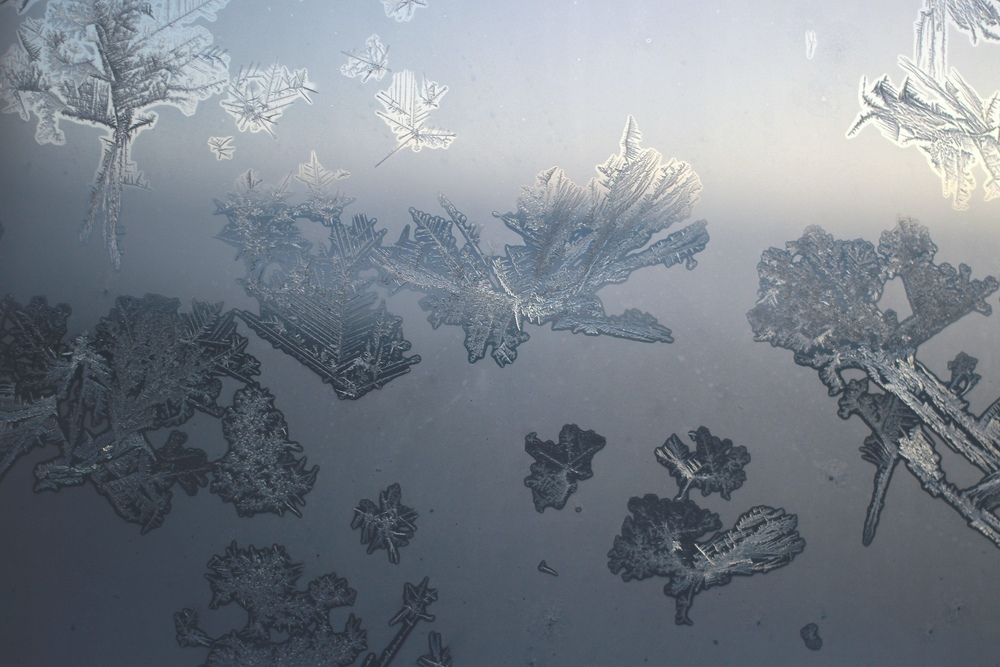 Фотография автора Светлана Терехова