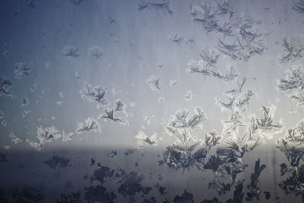 Фотография автора Светлана Терехова