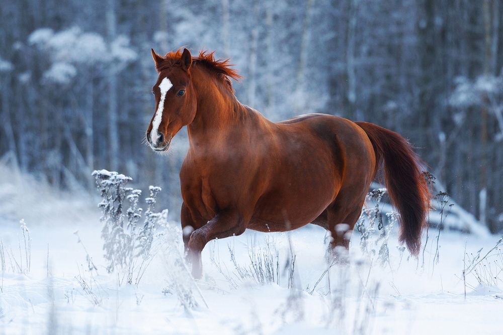 Photograph by Helena