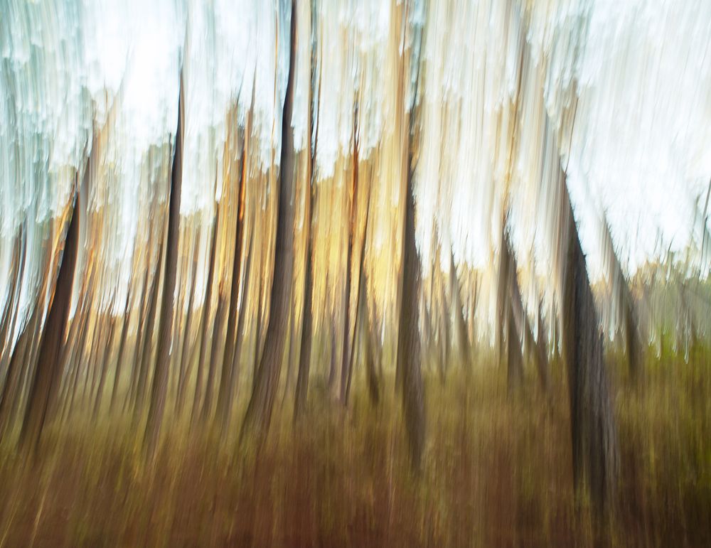 Photograph by Luis Daniel Gomez Carrillo