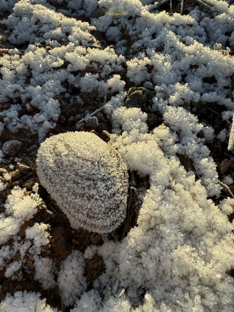 Photograph by Бондаренко Светлана
