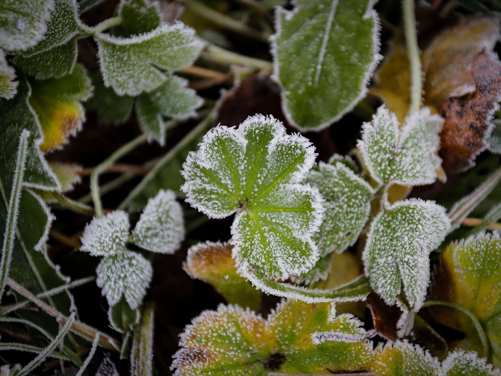 Photograph by Георгий Юркин