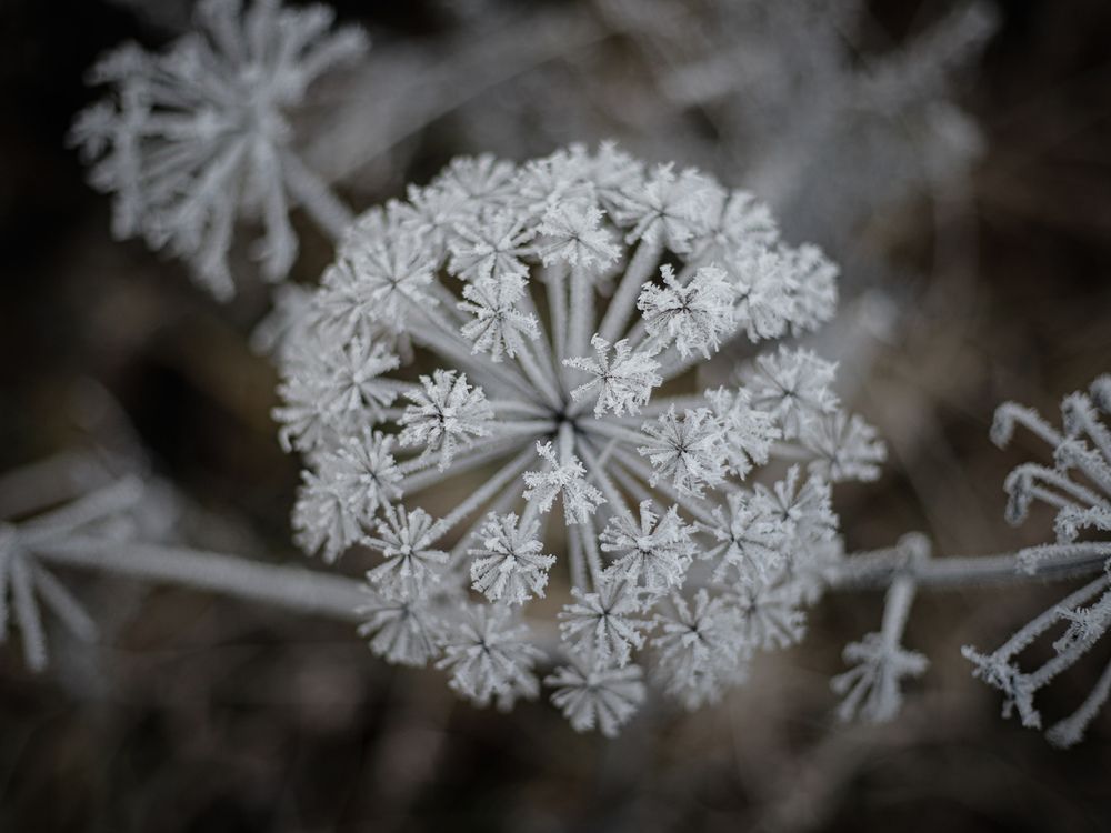 Photograph by Георгий Юркин