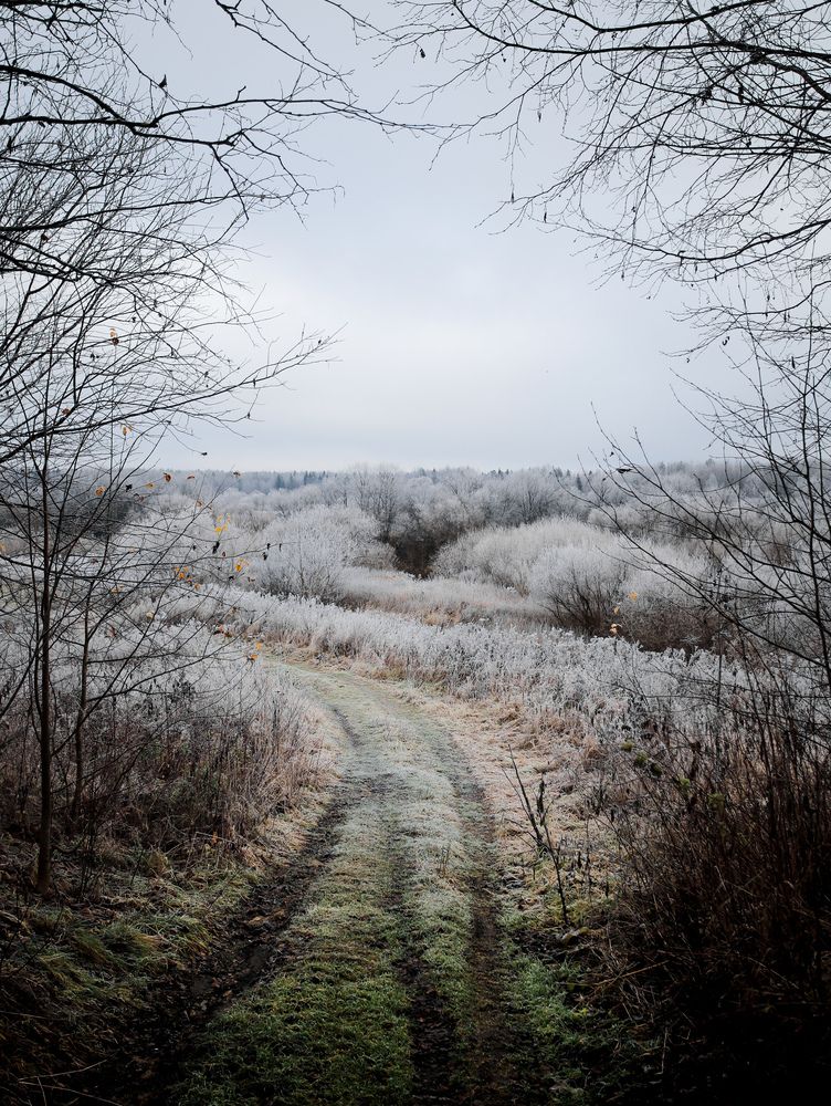 Photograph by Георгий Юркин