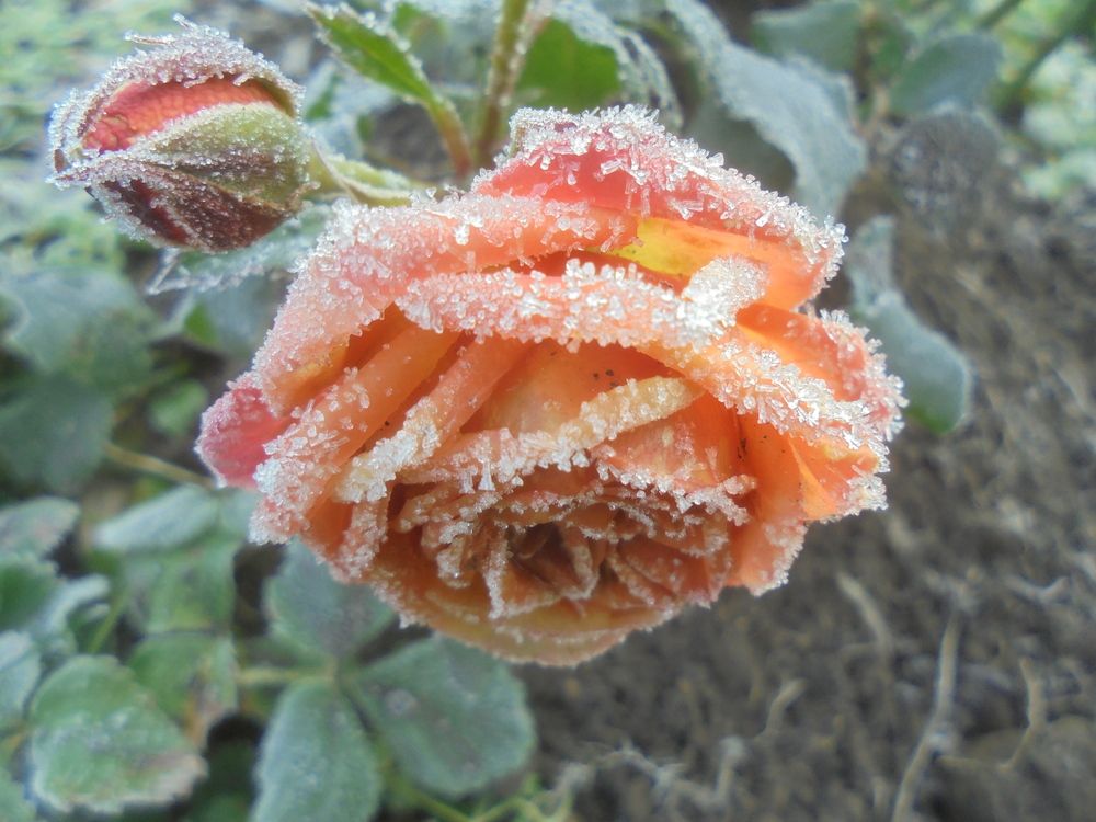 Photograph by Лилия Исхакова